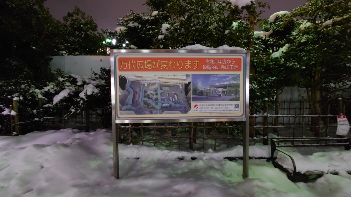 【JR東日本】新幹線居酒屋@上越新幹線 (新潟-東京) - 第9張圖 【JR東日本】新幹線居酒屋@上越新幹線 (新潟-東京)