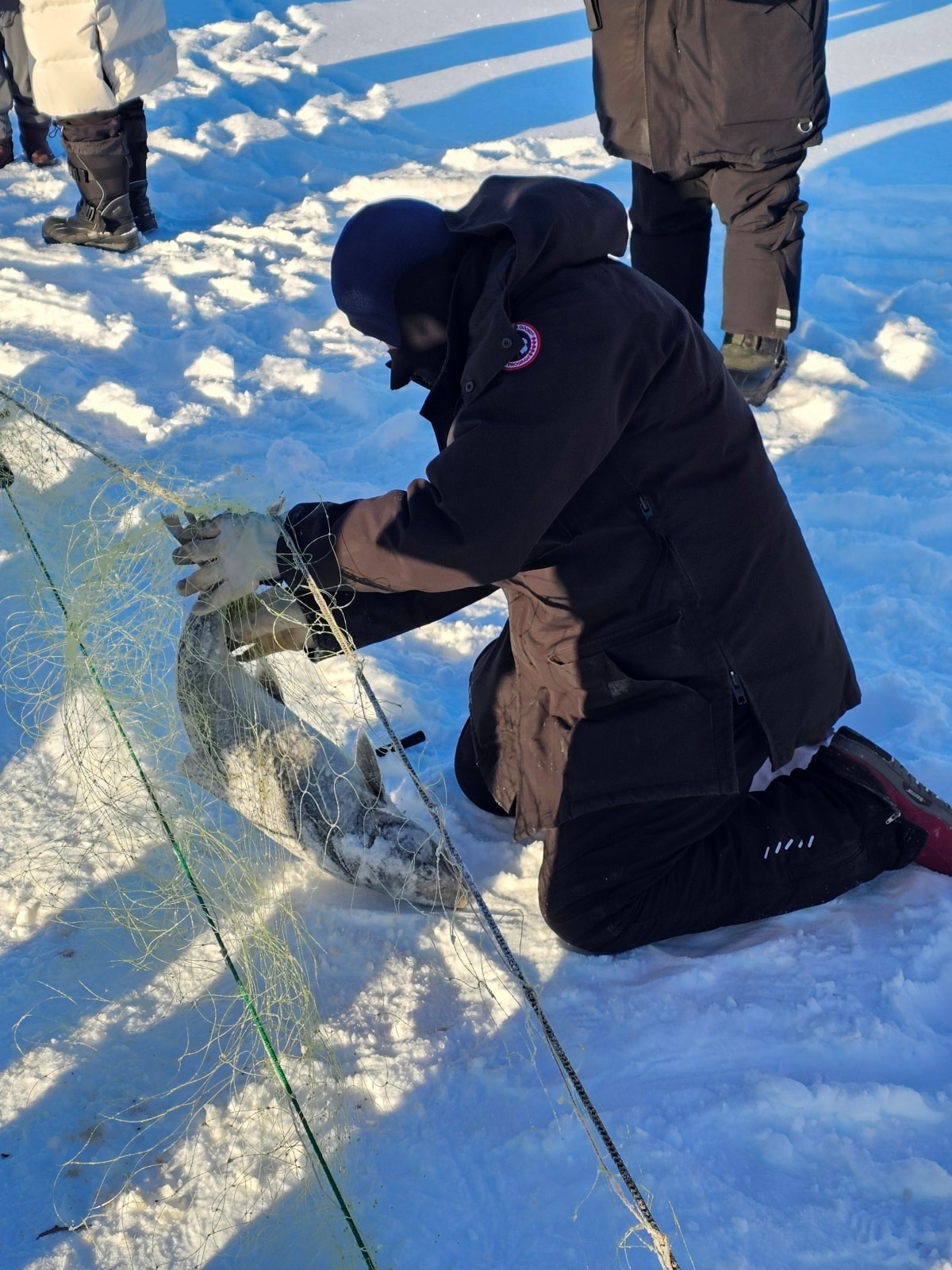 【黃刀鎮極光行】Day3-1 大奴湖冰上捕魚&黃刀鎮市區遊 - 第12張圖 【黃刀鎮極光行】Day3-1 大奴湖冰上捕魚&黃刀鎮市區遊