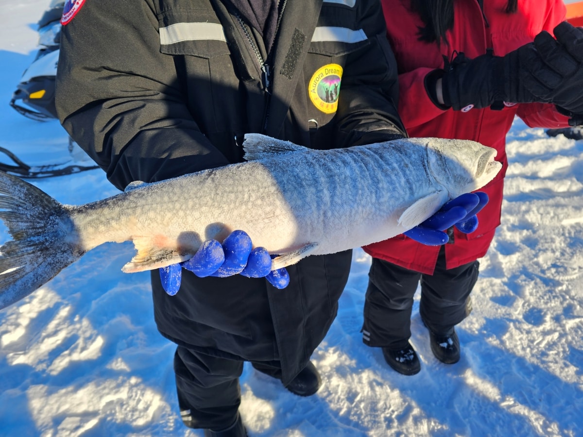 【黃刀鎮極光行】Day3-1 大奴湖冰上捕魚&黃刀鎮市區遊 - 第1張圖 【黃刀鎮極光行】Day3-1 大奴湖冰上捕魚&黃刀鎮市區遊