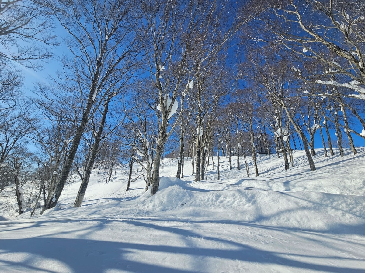 【2026湯沢滑雪】Day2 湯沢高原滑雪場-爸爸們帶隊上山去 - 第18張圖 【2026湯沢滑雪】Day2 湯沢高原滑雪場-爸爸們帶隊上山去