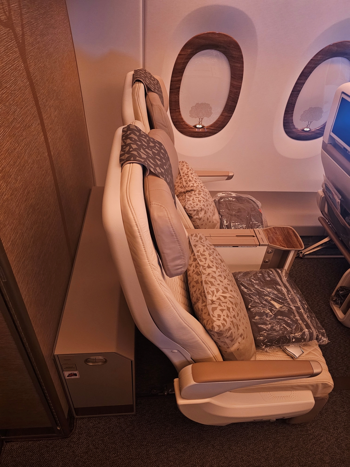 【飛行食記】杜拜(DXB)-奧斯陸(OSL) by 阿聯酋航空豪經艙(A350-900) - 第39張圖 【飛行食記】杜拜(DXB)-奧斯陸(OSL) by 阿聯酋航空豪經艙(A350-900)