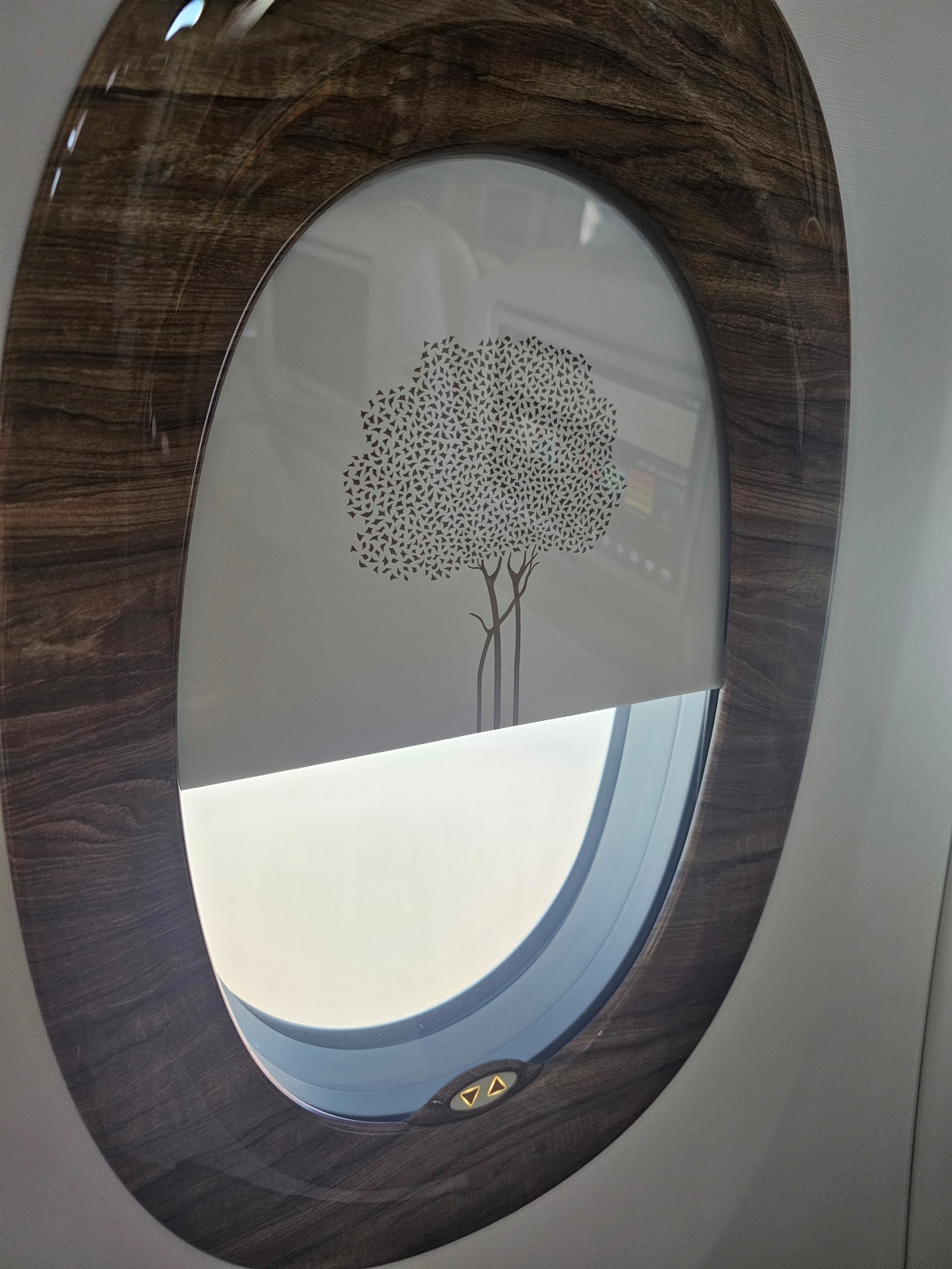 【飛行食記】杜拜(DXB)-奧斯陸(OSL) by 阿聯酋航空豪經艙(A350-900) - 第19張圖 【飛行食記】杜拜(DXB)-奧斯陸(OSL) by 阿聯酋航空豪經艙(A350-900)