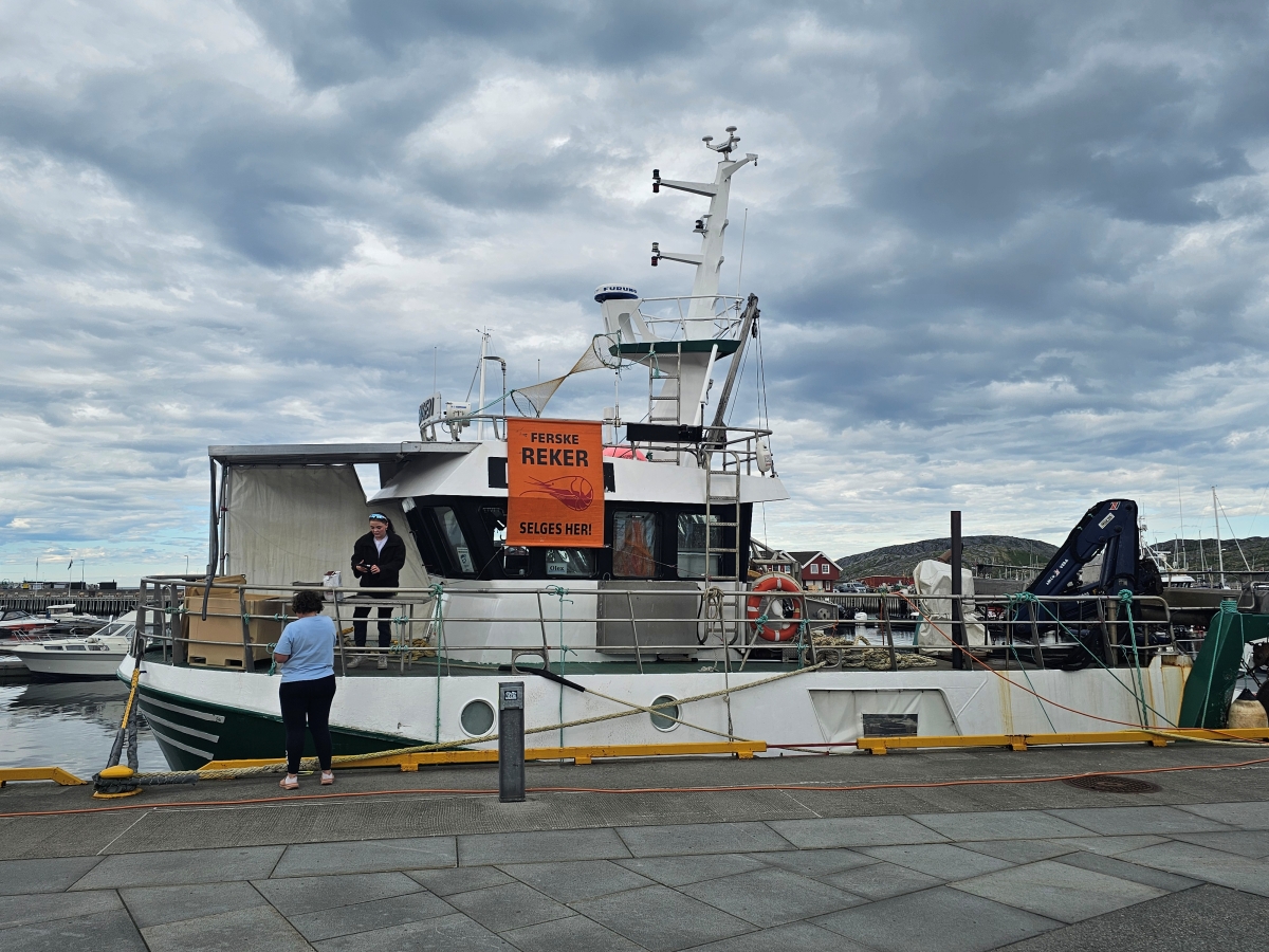 【太陽不打烊 挪威北極圈】 Day3-1 從Bodø出發,跳島Svolvær啟程羅浮敦自駕 - 第24張圖 【太陽不打烊 挪威北極圈】 Day3-1 從Bodø出發,跳島Svolvær啟程羅浮敦自駕