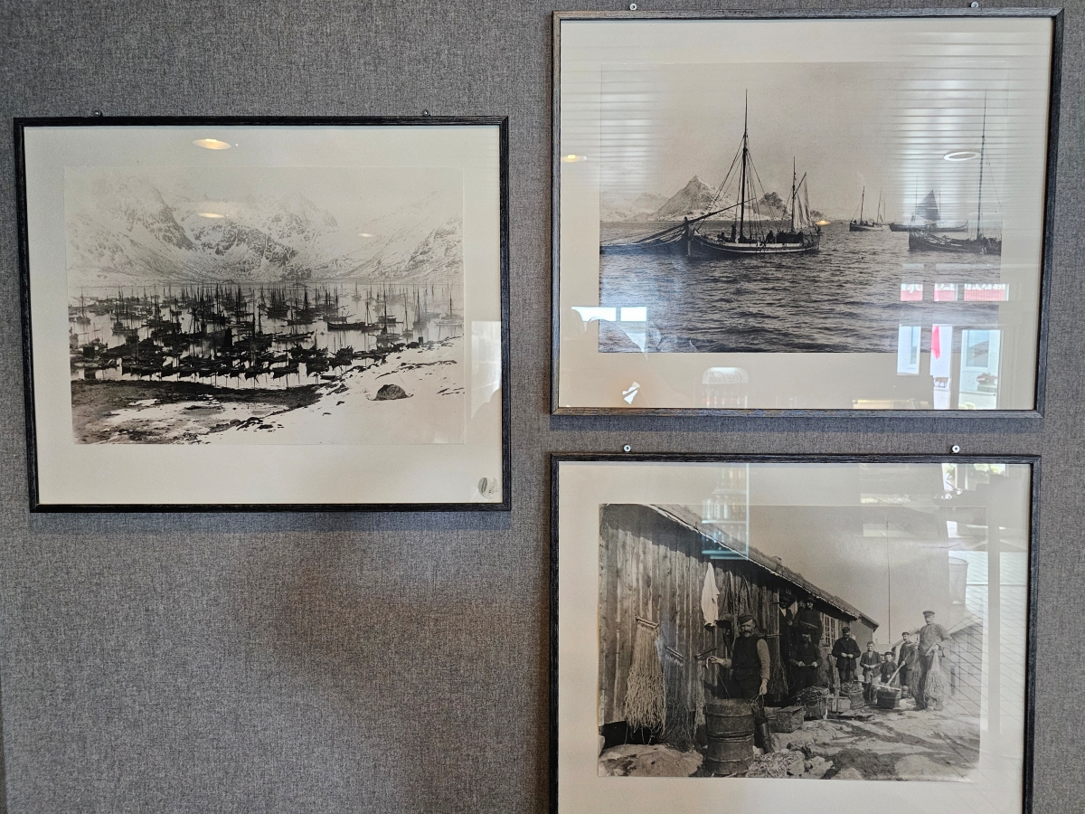 【挪威Svolvær住宿】 Scandic Vestfjord Lofoten 坐擁港景機能滿分的選擇 - 第8張圖 【挪威Svolvær住宿】 Scandic Vestfjord Lofoten 坐擁港景機能滿分的選擇