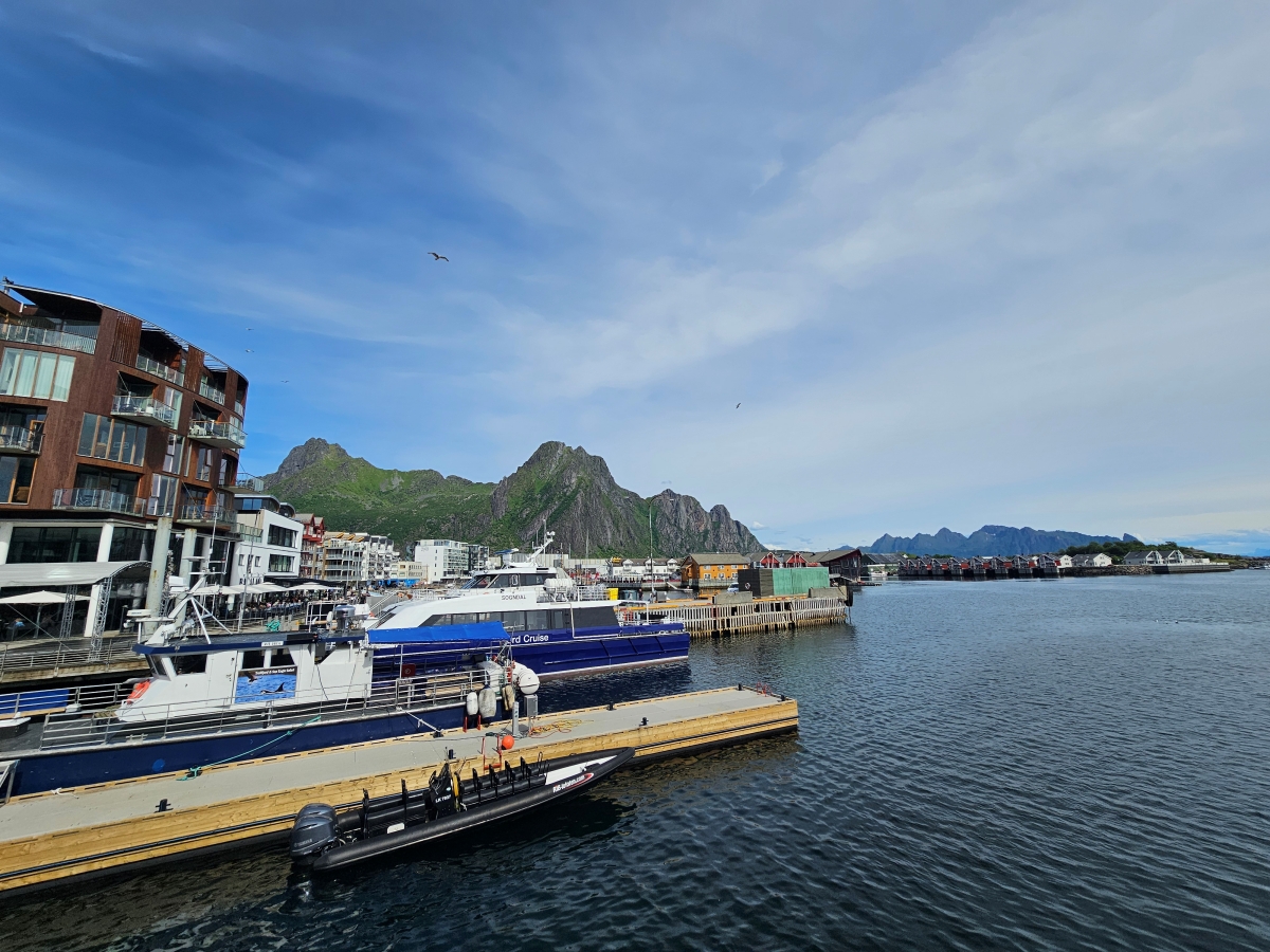 【太陽不打烊 挪威北極圈】 Day3-2 生猛羅浮敦 精靈峽灣(Trollfjord)尋鯨、賞鷹全紀錄 - 第18張圖 【太陽不打烊 挪威北極圈】 Day3-2 生猛羅浮敦 精靈峽灣(Trollfjord)尋鯨、賞鷹全紀錄