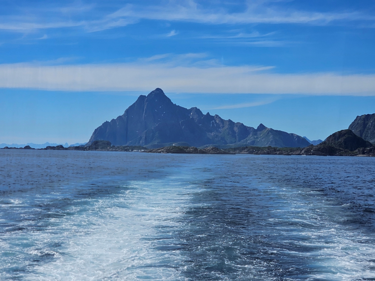 【太陽不打烊 挪威北極圈】 Day3-2 生猛羅浮敦 精靈峽灣(Trollfjord)尋鯨、賞鷹全紀錄 - 第24張圖 【太陽不打烊 挪威北極圈】 Day3-2 生猛羅浮敦 精靈峽灣(Trollfjord)尋鯨、賞鷹全紀錄