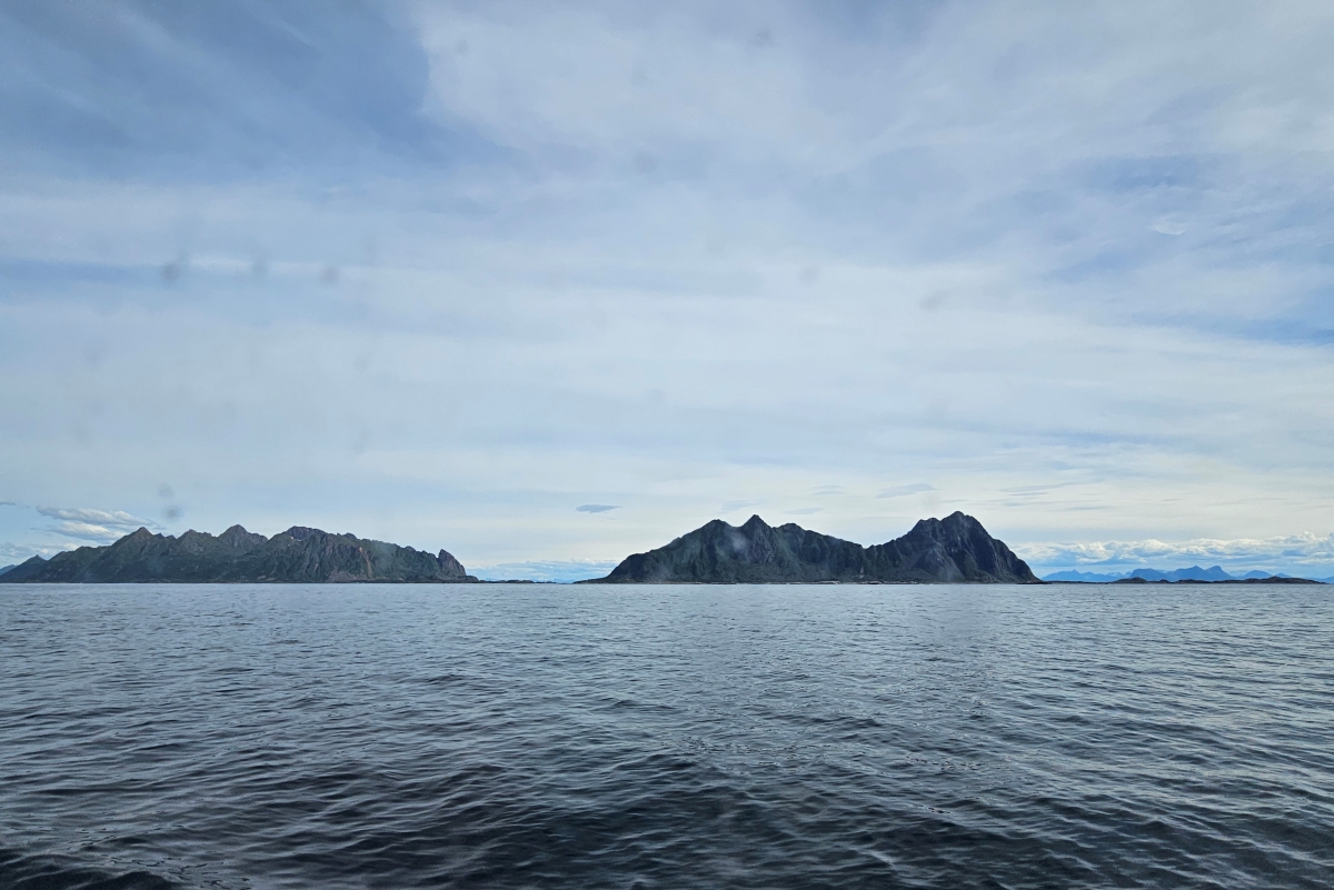 【太陽不打烊 挪威北極圈】 Day3-2 生猛羅浮敦 精靈峽灣(Trollfjord)尋鯨、賞鷹全紀錄 - 第25張圖 【太陽不打烊 挪威北極圈】 Day3-2 生猛羅浮敦 精靈峽灣(Trollfjord)尋鯨、賞鷹全紀錄