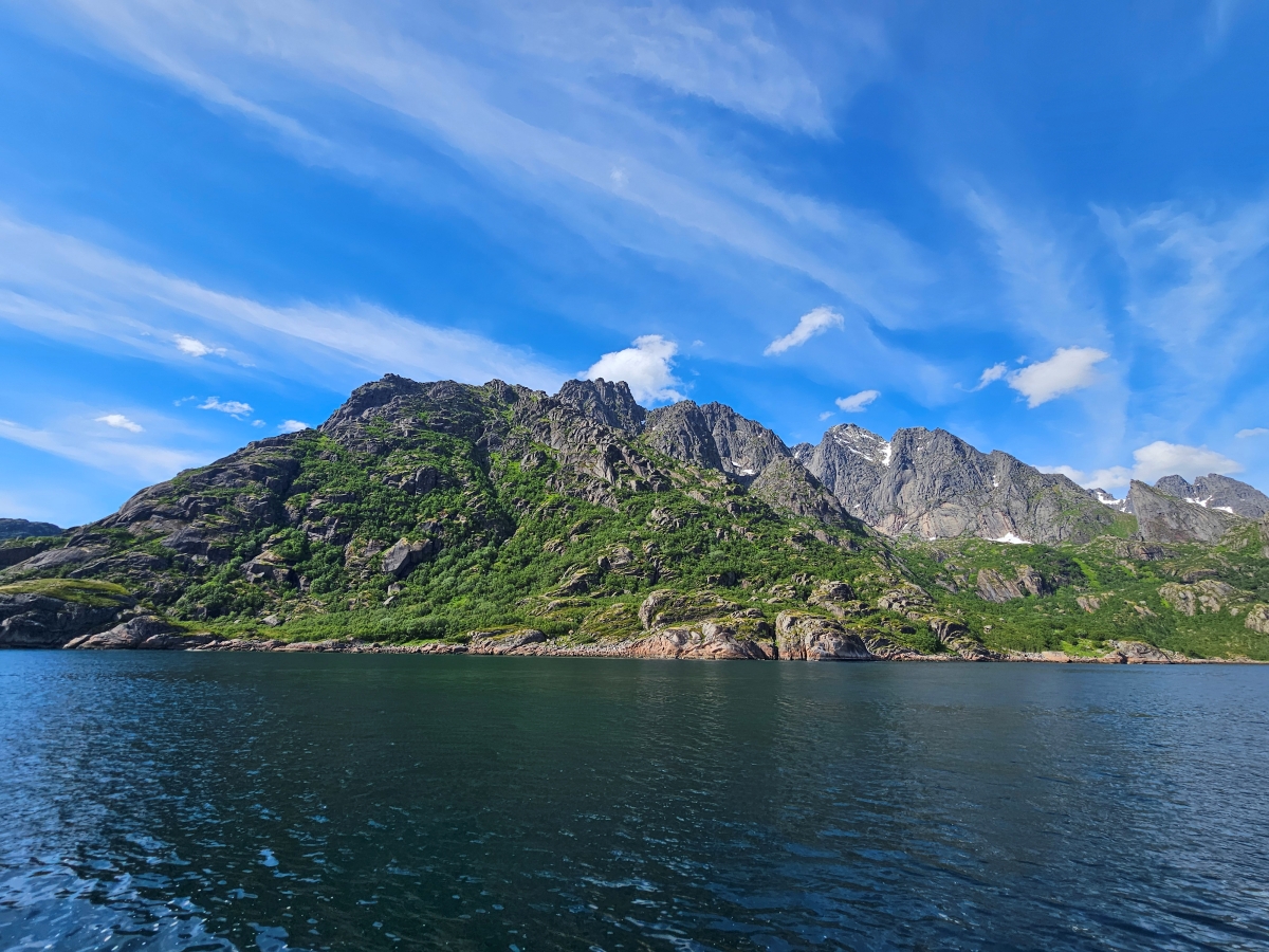 【太陽不打烊 挪威北極圈】 Day3-2 生猛羅浮敦 精靈峽灣(Trollfjord)尋鯨、賞鷹全紀錄 - 第46張圖 【太陽不打烊 挪威北極圈】 Day3-2 生猛羅浮敦 精靈峽灣(Trollfjord)尋鯨、賞鷹全紀錄