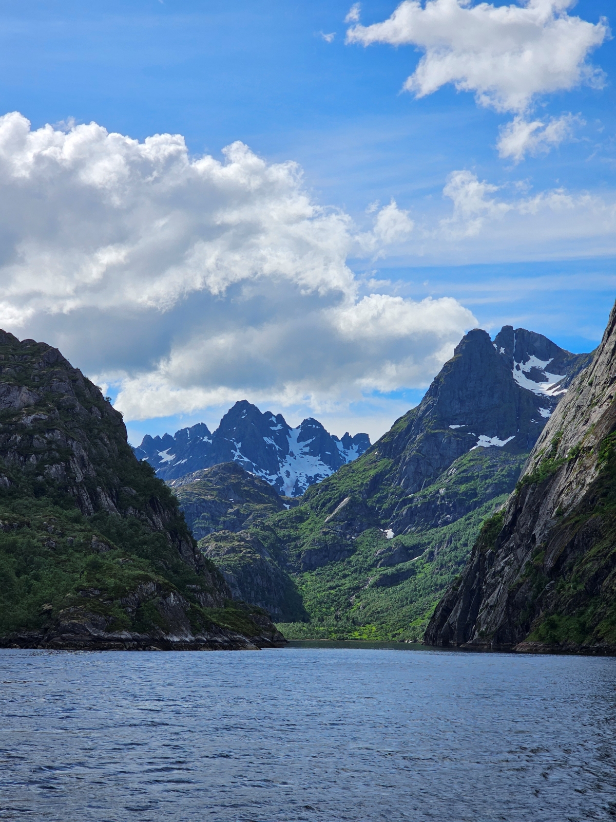 【太陽不打烊 挪威北極圈】 Day3-2 生猛羅浮敦 精靈峽灣(Trollfjord)尋鯨、賞鷹全紀錄 - 第50張圖 【太陽不打烊 挪威北極圈】 Day3-2 生猛羅浮敦 精靈峽灣(Trollfjord)尋鯨、賞鷹全紀錄
