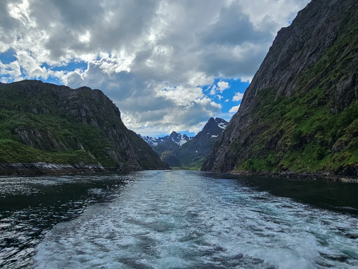 【太陽不打烊 挪威北極圈】 Day3-2 生猛羅浮敦 精靈峽灣(Trollfjord)尋鯨、賞鷹全紀錄 - 第61張圖 【太陽不打烊 挪威北極圈】 Day3-2 生猛羅浮敦 精靈峽灣(Trollfjord)尋鯨、賞鷹全紀錄