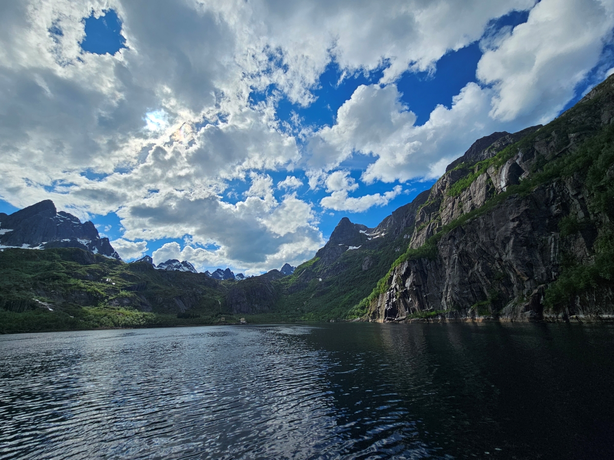 【太陽不打烊 挪威北極圈】 Day3-2 生猛羅浮敦 精靈峽灣(Trollfjord)尋鯨、賞鷹全紀錄 - 第60張圖 【太陽不打烊 挪威北極圈】 Day3-2 生猛羅浮敦 精靈峽灣(Trollfjord)尋鯨、賞鷹全紀錄