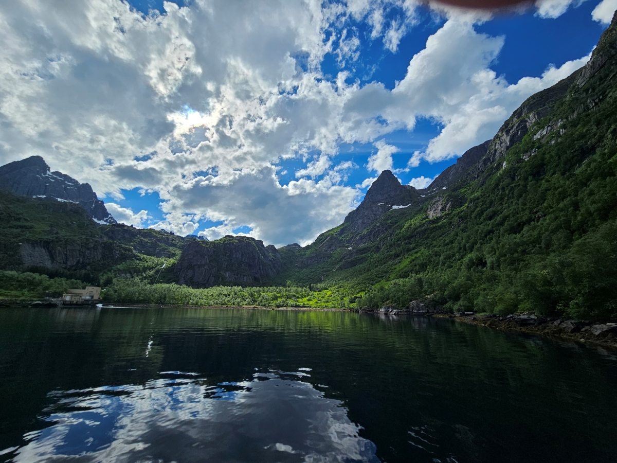 【太陽不打烊 挪威北極圈】 Day3-2 生猛羅浮敦 精靈峽灣(Trollfjord)尋鯨、賞鷹全紀錄 - 第52張圖 【太陽不打烊 挪威北極圈】 Day3-2 生猛羅浮敦 精靈峽灣(Trollfjord)尋鯨、賞鷹全紀錄