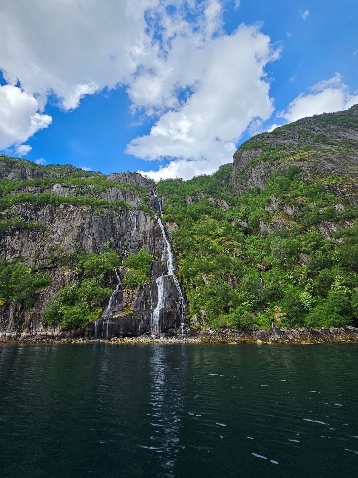 【太陽不打烊 挪威北極圈】 Day3-2 生猛羅浮敦 精靈峽灣(Trollfjord)尋鯨、賞鷹全紀錄 - 第55張圖 【太陽不打烊 挪威北極圈】 Day3-2 生猛羅浮敦 精靈峽灣(Trollfjord)尋鯨、賞鷹全紀錄