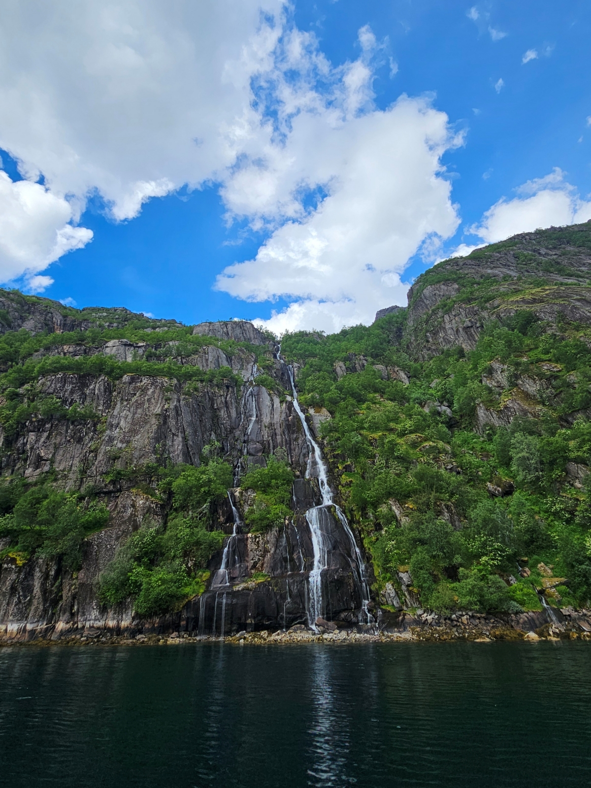 【太陽不打烊 挪威北極圈】 Day3-2 生猛羅浮敦 精靈峽灣(Trollfjord)尋鯨、賞鷹全紀錄 - 第56張圖 【太陽不打烊 挪威北極圈】 Day3-2 生猛羅浮敦 精靈峽灣(Trollfjord)尋鯨、賞鷹全紀錄