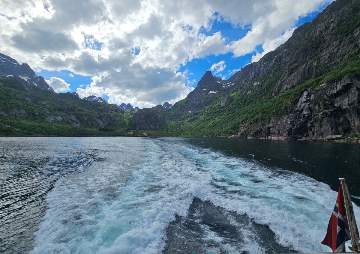 【太陽不打烊 挪威北極圈】 Day3-2 生猛羅浮敦 精靈峽灣(Trollfjord)尋鯨、賞鷹全紀錄 - 第62張圖 【太陽不打烊 挪威北極圈】 Day3-2 生猛羅浮敦 精靈峽灣(Trollfjord)尋鯨、賞鷹全紀錄