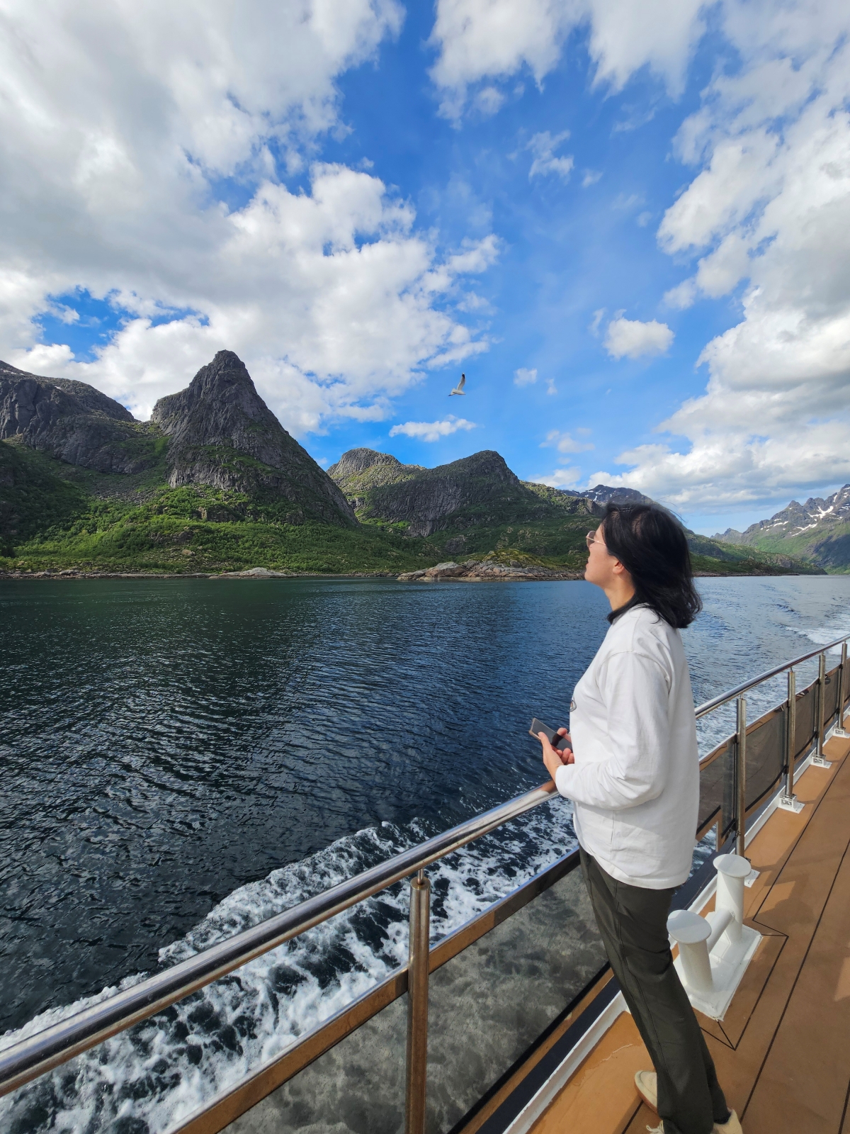 【太陽不打烊 挪威北極圈】 Day3-2 生猛羅浮敦 精靈峽灣(Trollfjord)尋鯨、賞鷹全紀錄 - 第66張圖 【太陽不打烊 挪威北極圈】 Day3-2 生猛羅浮敦 精靈峽灣(Trollfjord)尋鯨、賞鷹全紀錄