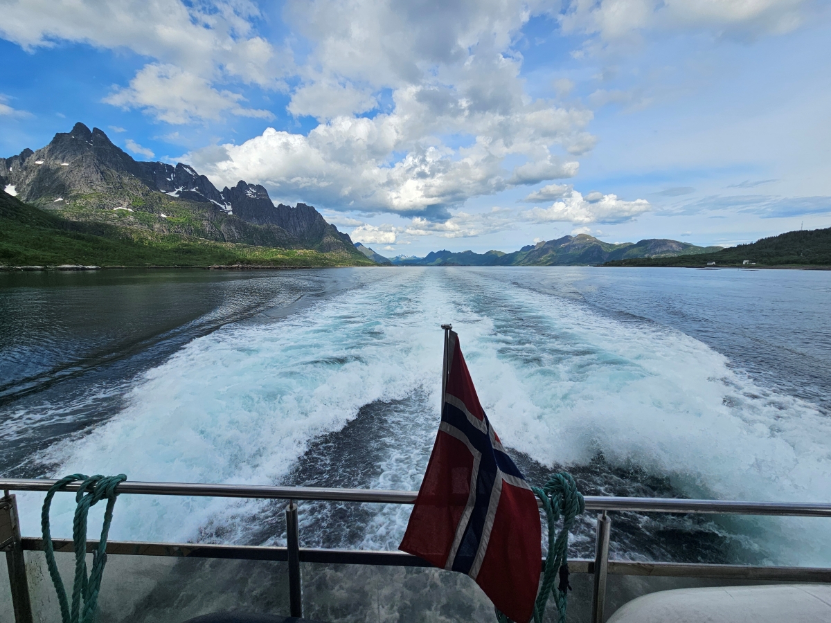 【太陽不打烊 挪威北極圈】 Day3-2 生猛羅浮敦 精靈峽灣(Trollfjord)尋鯨、賞鷹全紀錄 - 第69張圖 【太陽不打烊 挪威北極圈】 Day3-2 生猛羅浮敦 精靈峽灣(Trollfjord)尋鯨、賞鷹全紀錄