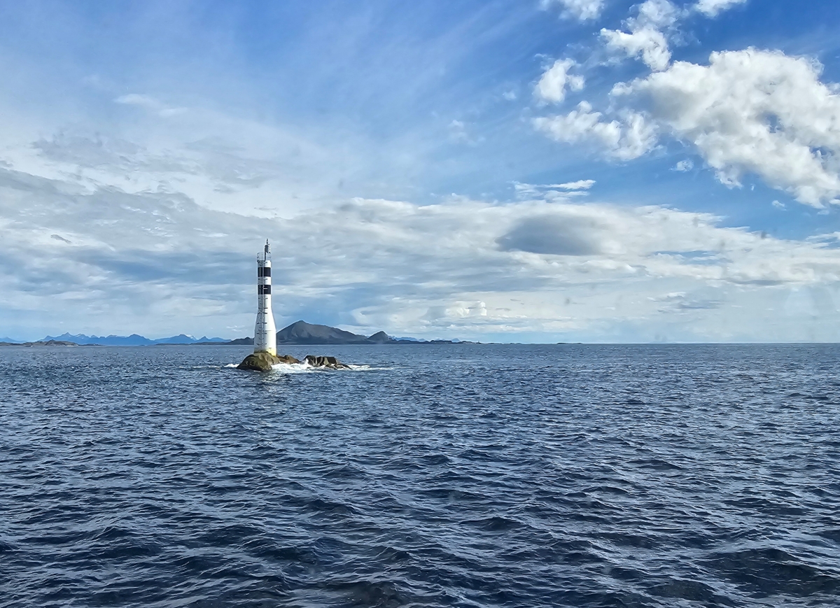 【太陽不打烊 挪威北極圈】 Day3-2 生猛羅浮敦 精靈峽灣(Trollfjord)尋鯨、賞鷹全紀錄 - 第36張圖 【太陽不打烊 挪威北極圈】 Day3-2 生猛羅浮敦 精靈峽灣(Trollfjord)尋鯨、賞鷹全紀錄