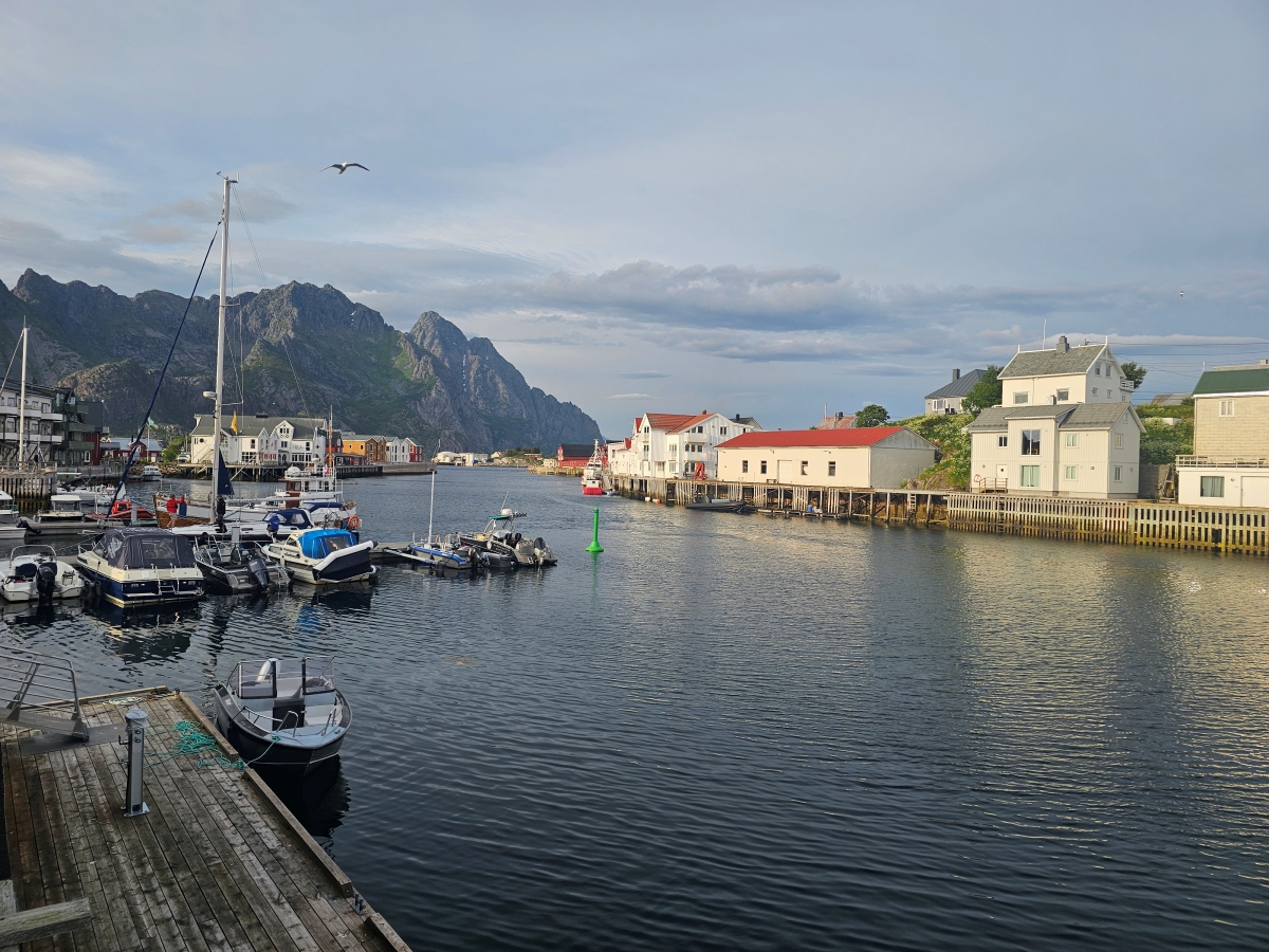 【挪威羅浮敦食記】Henningsvaer 海鮮餐廳Fiskekrogen - 第18張圖 【挪威羅浮敦食記】Henningsvaer 海鮮餐廳Fiskekrogen