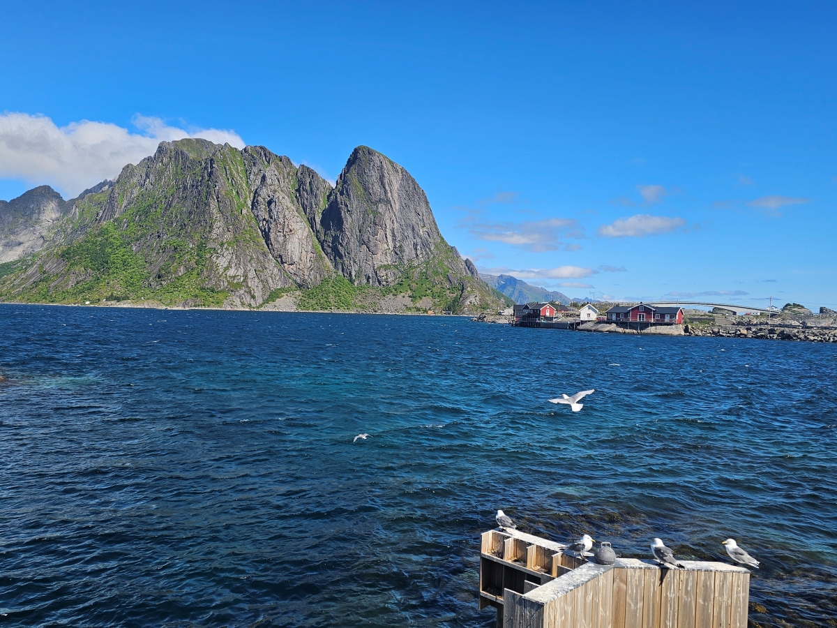 【太陽不打烊 挪威北極圈】 Day5-1 Olenilsøya kystfort 零技巧15分鐘解鎖絕美海景的回血步道 - 第7張圖 【太陽不打烊 挪威北極圈】 Day5-1 Olenilsøya kystfort 零技巧15分鐘解鎖絕美海景的回血步道
