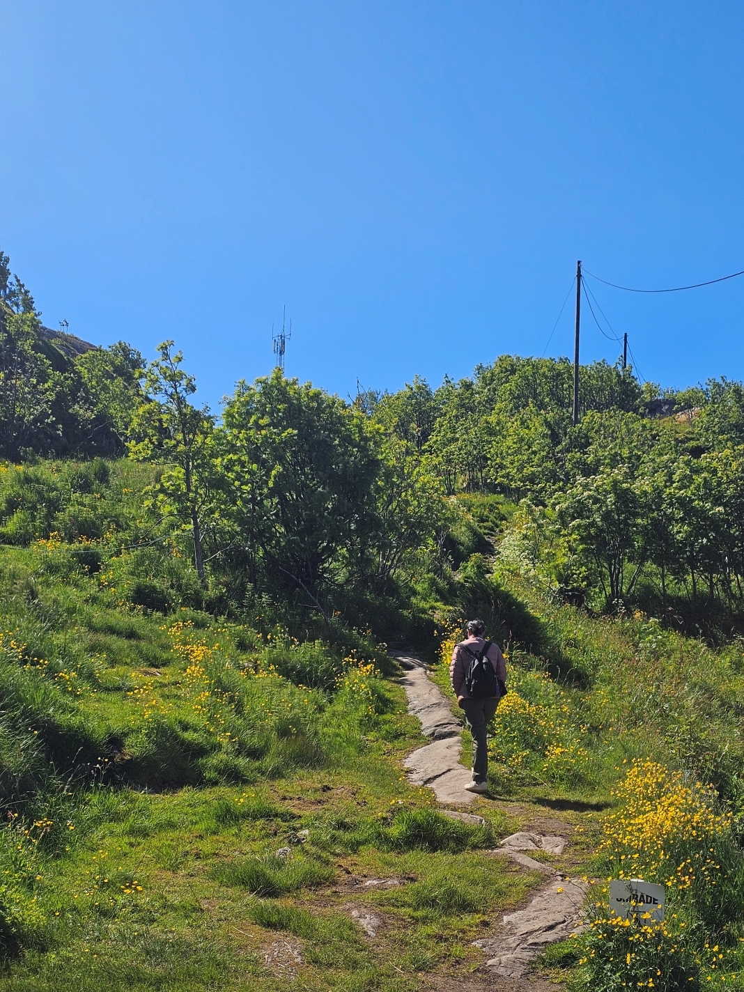 【太陽不打烊 挪威北極圈】 Day5-1 Olenilsøya kystfort 零技巧15分鐘解鎖絕美海景的回血步道 - 第35張圖 【太陽不打烊 挪威北極圈】 Day5-1 Olenilsøya kystfort 零技巧15分鐘解鎖絕美海景的回血步道