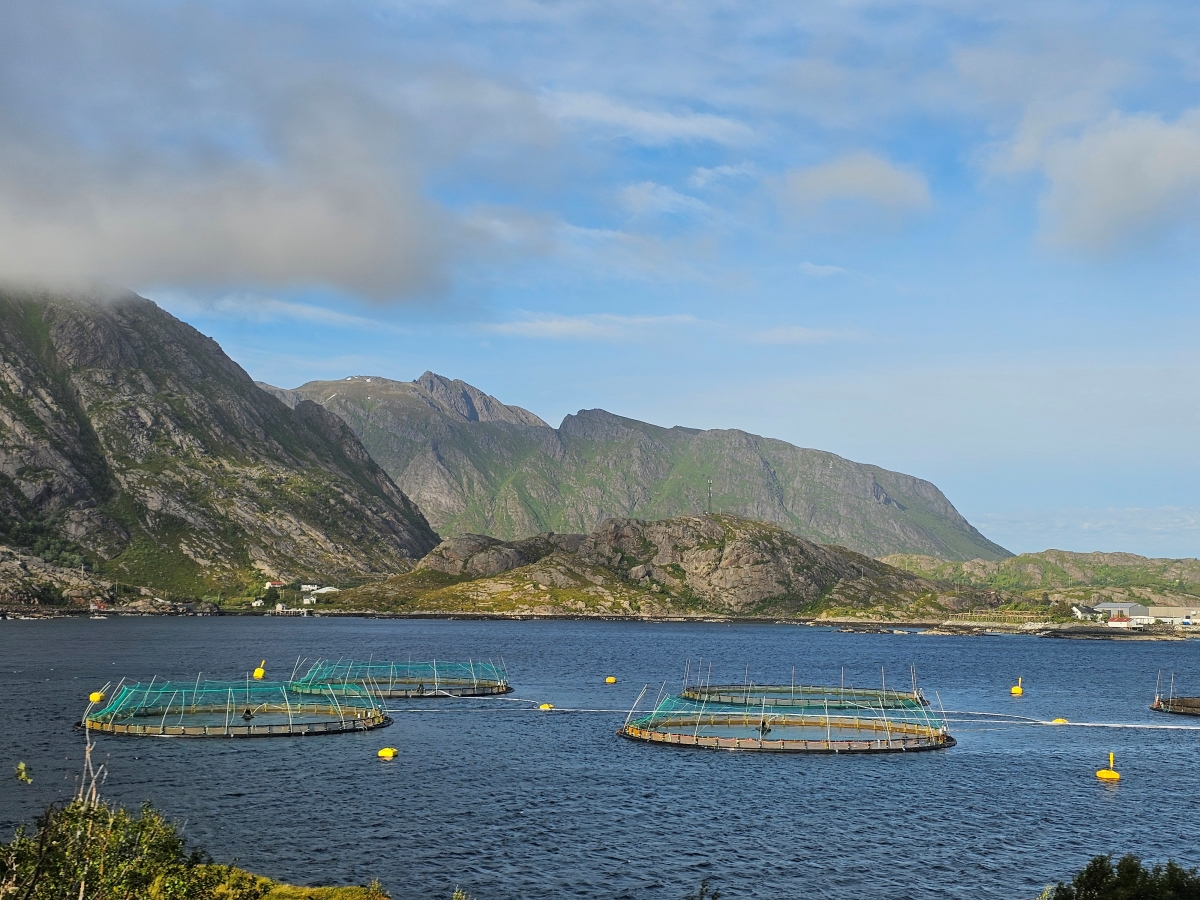 【太陽不打烊 挪威北極圈】 Day6-2 由南向北縱貫羅浮敦:從靜謐的Skelfjord到純白的Unstad Beach - 第3張圖 【太陽不打烊 挪威北極圈】 Day6-2 由南向北縱貫羅浮敦:從靜謐的Skelfjord到純白的Unstad Beach