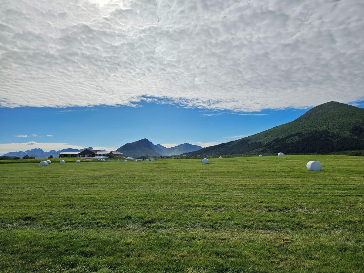 【太陽不打烊 挪威北極圈】 Day6-2 由南向北縱貫羅浮敦:從靜謐的Skelfjord到純白的Unstad Beach - 第41張圖 【太陽不打烊 挪威北極圈】 Day6-2 由南向北縱貫羅浮敦:從靜謐的Skelfjord到純白的Unstad Beach