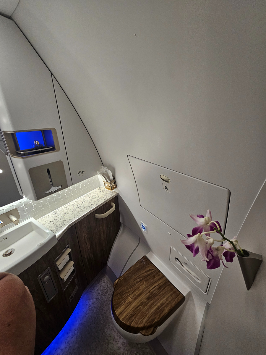 【飛行食記】奧斯陸(OSL)-杜拜(DXB) by 阿聯酋航空商務艙(A350-900) - 第62張圖 【飛行食記】奧斯陸(OSL)-杜拜(DXB) by 阿聯酋航空商務艙(A350-900)