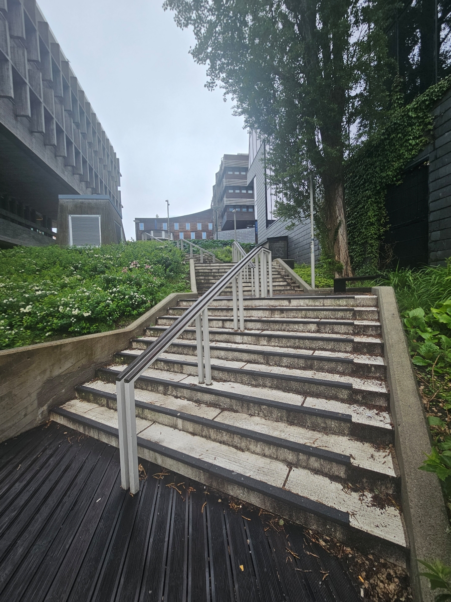 【太陽不打烊 挪威北極圈】 Day8-1 縱貫挪威南北,從極光之都Tromsø到落雨之城Stavanger - 第24張圖 【太陽不打烊 挪威北極圈】 Day8-1 縱貫挪威南北,從極光之都Tromsø到落雨之城Stavanger