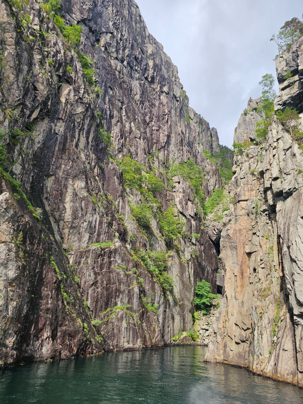 【太陽不打烊 挪威北極圈】 Day9-1 乘船穿梭呂瑟峽灣(Lysefjord):仰望千仞絕壁,體驗萬噸巨岩的震撼 - 第32張圖 【太陽不打烊 挪威北極圈】 Day9-1 乘船穿梭呂瑟峽灣(Lysefjord):仰望千仞絕壁,體驗萬噸巨岩的震撼