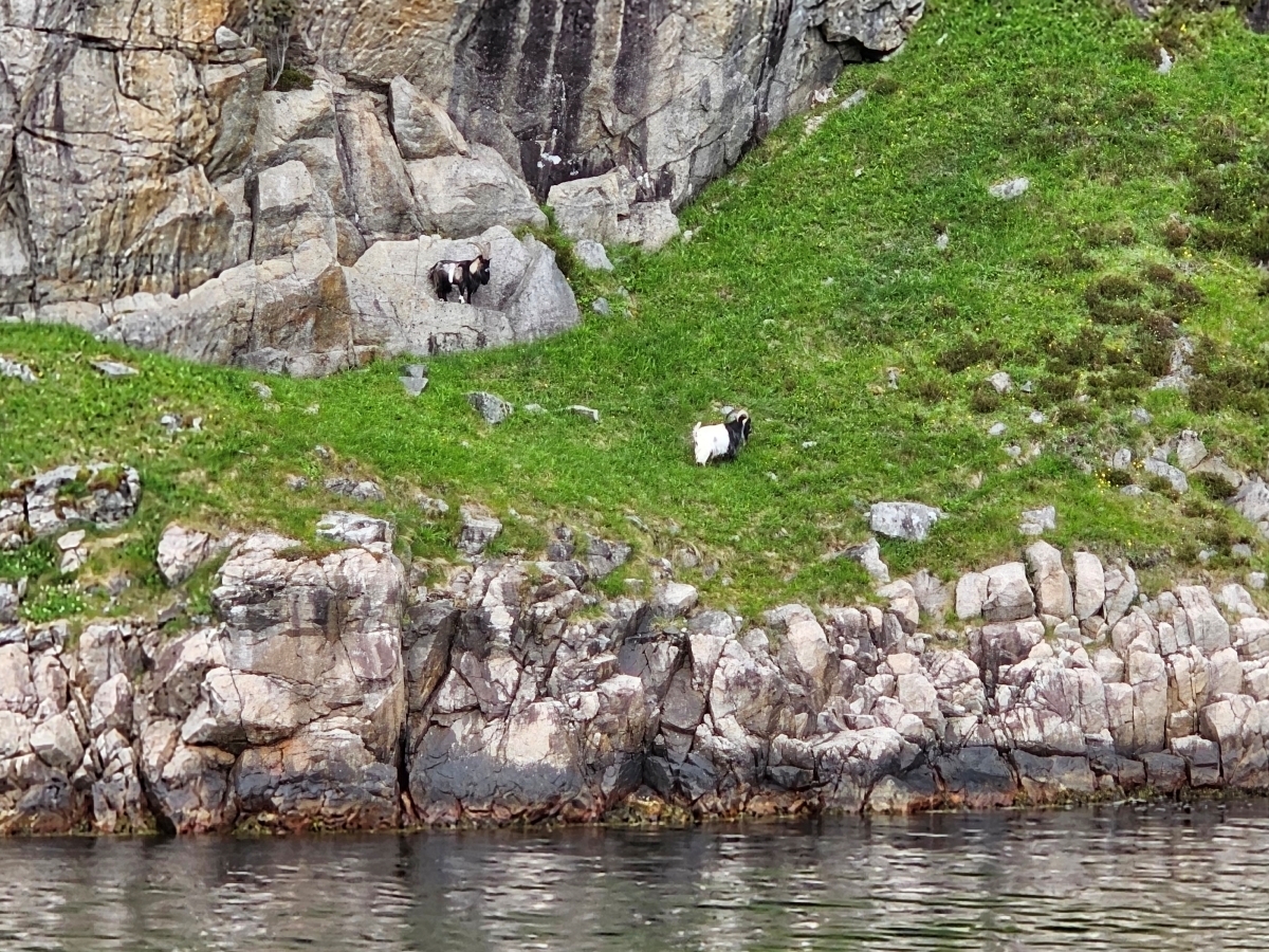 【太陽不打烊 挪威北極圈】 Day9-1 乘船穿梭呂瑟峽灣(Lysefjord):仰望千仞絕壁,體驗萬噸巨岩的震撼 - 第37張圖 【太陽不打烊 挪威北極圈】 Day9-1 乘船穿梭呂瑟峽灣(Lysefjord):仰望千仞絕壁,體驗萬噸巨岩的震撼
