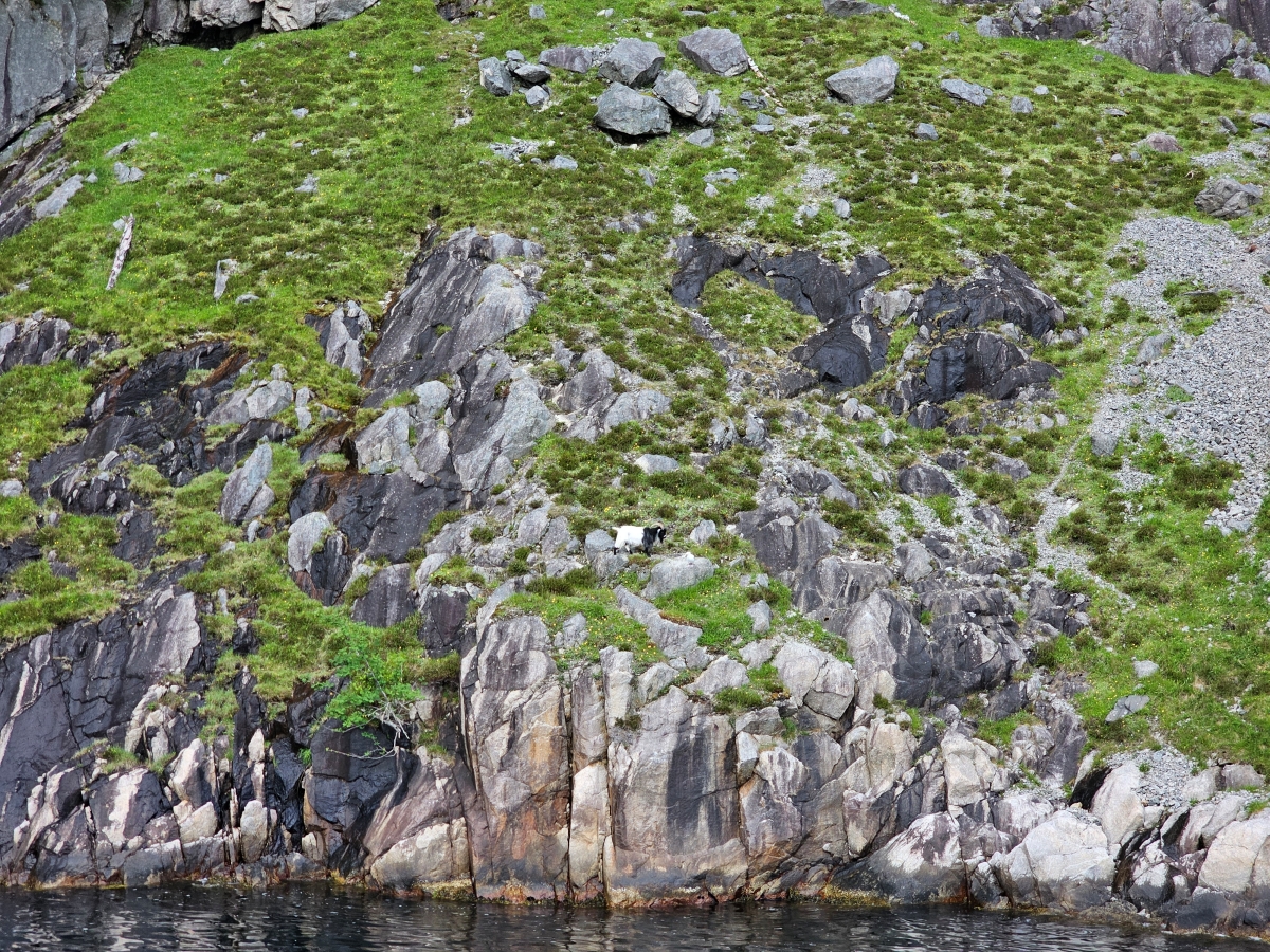 【太陽不打烊 挪威北極圈】 Day9-1 乘船穿梭呂瑟峽灣(Lysefjord):仰望千仞絕壁,體驗萬噸巨岩的震撼 - 第40張圖 【太陽不打烊 挪威北極圈】 Day9-1 乘船穿梭呂瑟峽灣(Lysefjord):仰望千仞絕壁,體驗萬噸巨岩的震撼