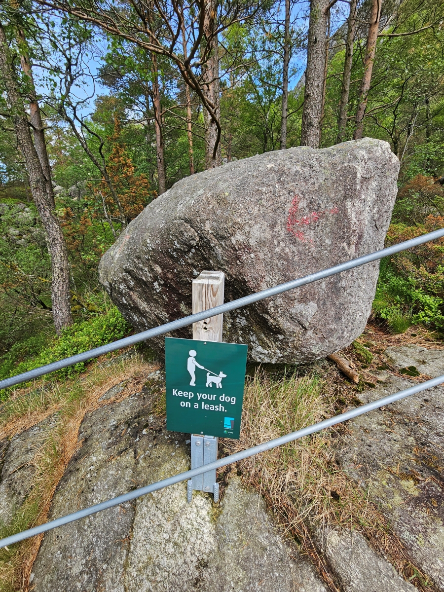 【太陽不打烊 挪威北極圈】 Day9-2 雙腳征服聖壇岩(Preikestolen):峽灣為背景,萬丈絕壁都是我們的伸展台 - 第24張圖 【太陽不打烊 挪威北極圈】 Day9-2 雙腳征服聖壇岩(Preikestolen):峽灣為背景,萬丈絕壁都是我們的伸展台