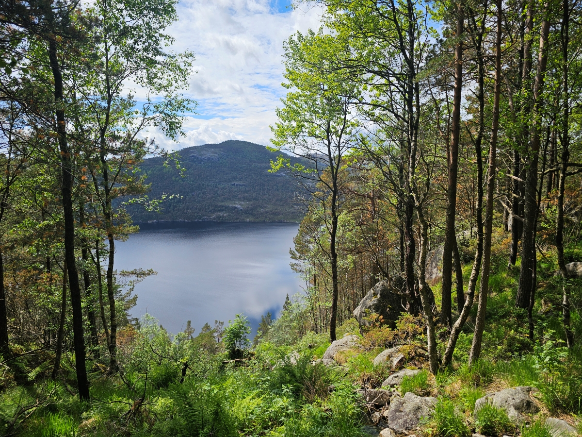 【太陽不打烊 挪威北極圈】 Day9-2 雙腳征服聖壇岩(Preikestolen):峽灣為背景,萬丈絕壁都是我們的伸展台 - 第29張圖 【太陽不打烊 挪威北極圈】 Day9-2 雙腳征服聖壇岩(Preikestolen):峽灣為背景,萬丈絕壁都是我們的伸展台