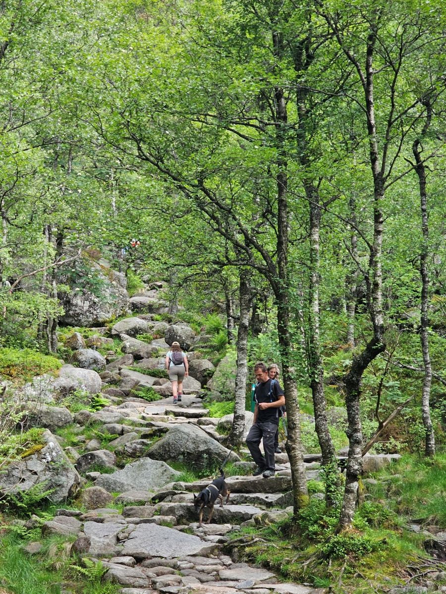 【太陽不打烊 挪威北極圈】 Day9-2 雙腳征服聖壇岩(Preikestolen):峽灣為背景,萬丈絕壁都是我們的伸展台 - 第42張圖 【太陽不打烊 挪威北極圈】 Day9-2 雙腳征服聖壇岩(Preikestolen):峽灣為背景,萬丈絕壁都是我們的伸展台